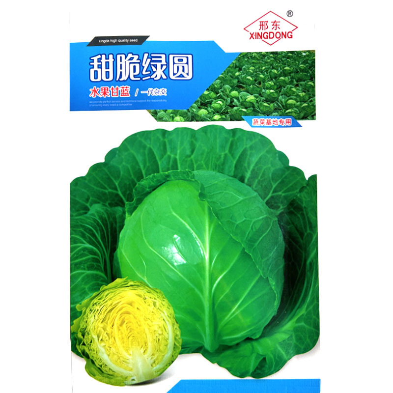 水果甘蓝种子早熟深绿色宣菜黄心圆包菜春秋基地种植