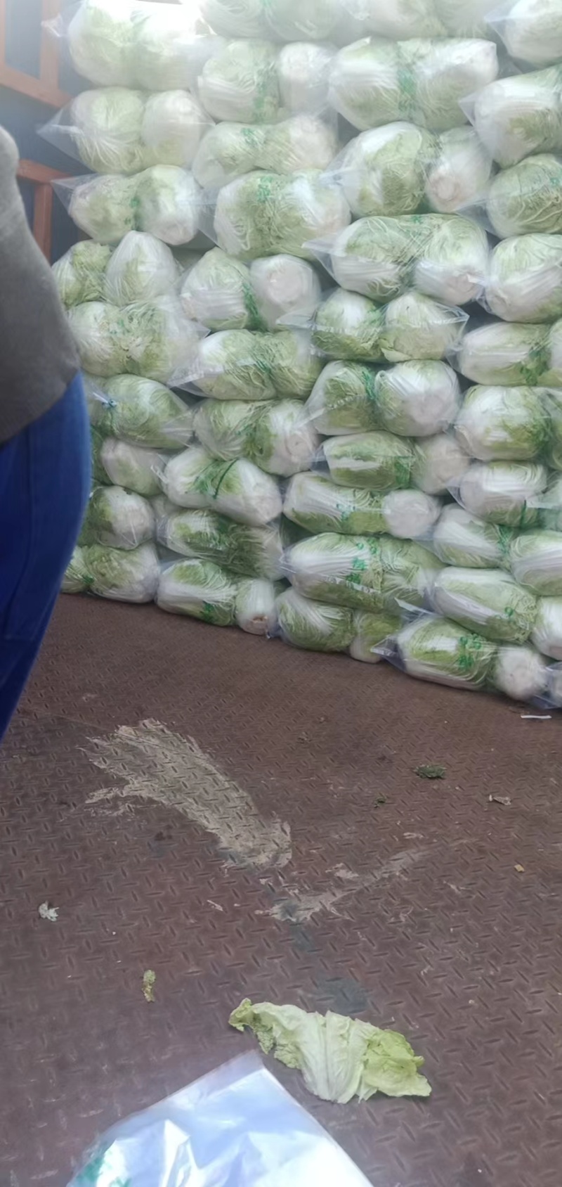 白菜大量供应冷库里大白菜现货量大从优价格优惠