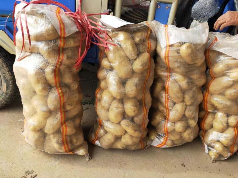 土豆大量现货量大从优价格优惠欢迎电话联系沟通
