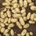 土豆大量现货量大从优价格优惠欢迎电话联系沟通