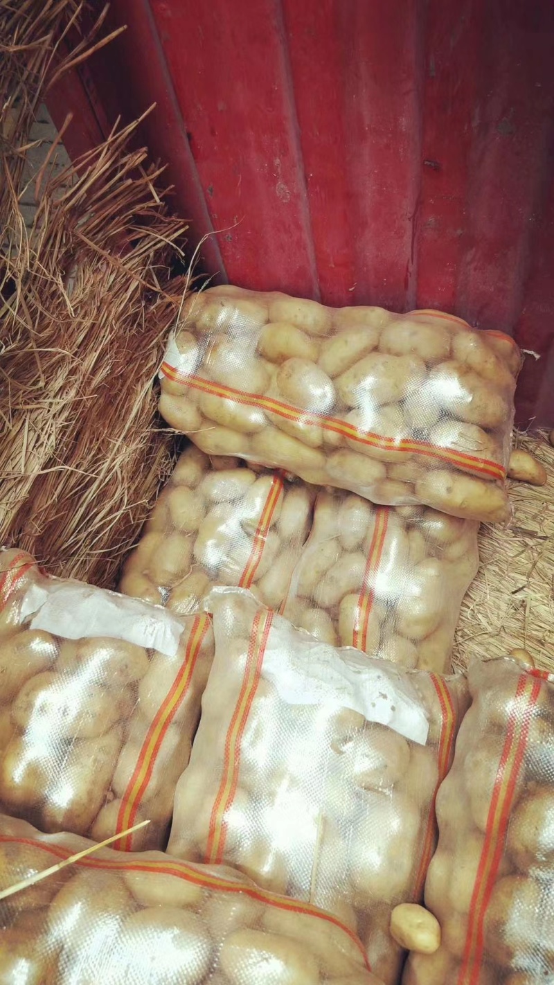 土豆大量现货量大从优价格优惠欢迎电话联系沟通