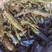 【推荐】澳洲淡水龙虾/蓝龙虾1.5两以上产地直发