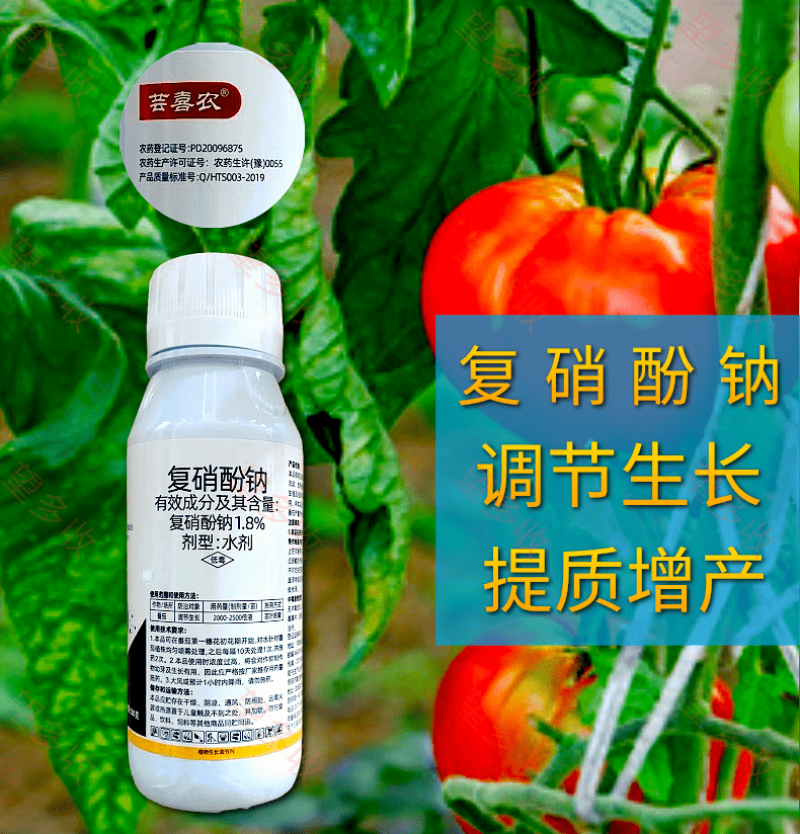 1.8%复硝酚钠促根提苗保花保果提质增产调节生长