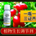 1.8%复硝酚钠促根提苗保花保果提质增产调节生长