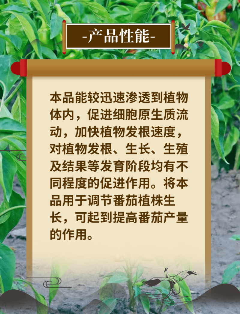 1.8%复硝酚钠促根提苗保花保果提质增产调节生长