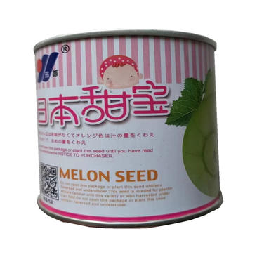 日本甜宝甜瓜种子耐湿耐高温含糖15度发芽率高