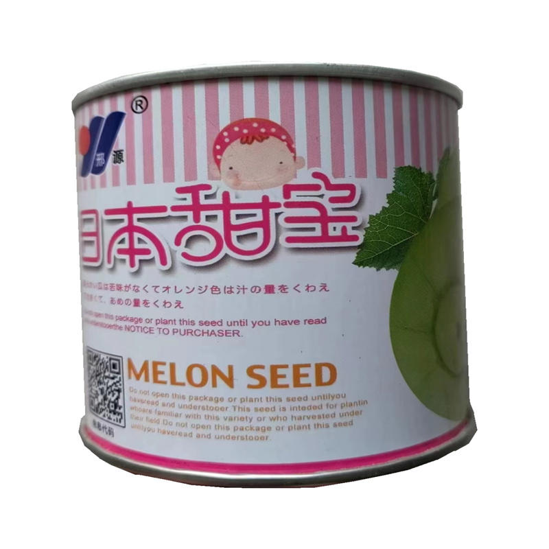 日本甜宝甜瓜种子耐湿耐高温含糖15度发芽率高