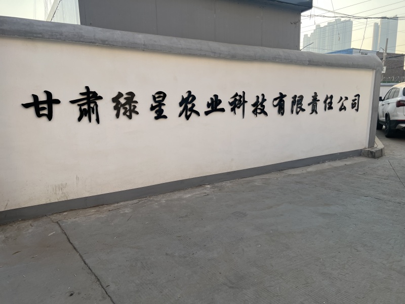 甘科11号