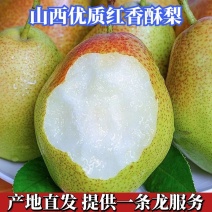 【山西红香酥梨】运城红香酥梨果形圆润冷库货大量供应
