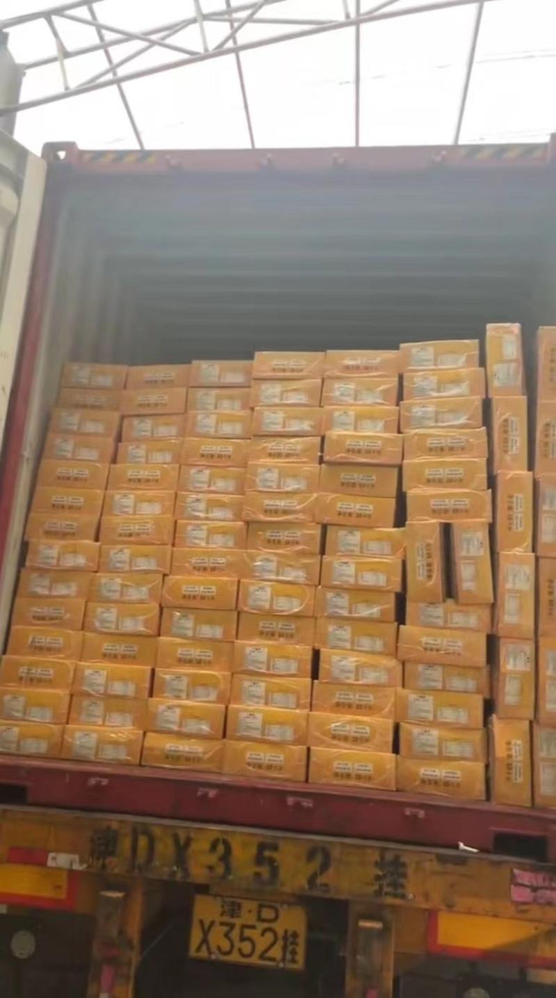 伊朗黑椰枣量大价优保证质量全国发货整柜批发价格可以谈