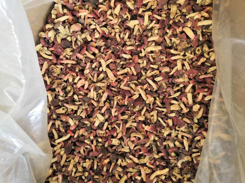 精选红小菇蘑菇食用菌鲜货干货规格齐全原产地发货欢迎联系
