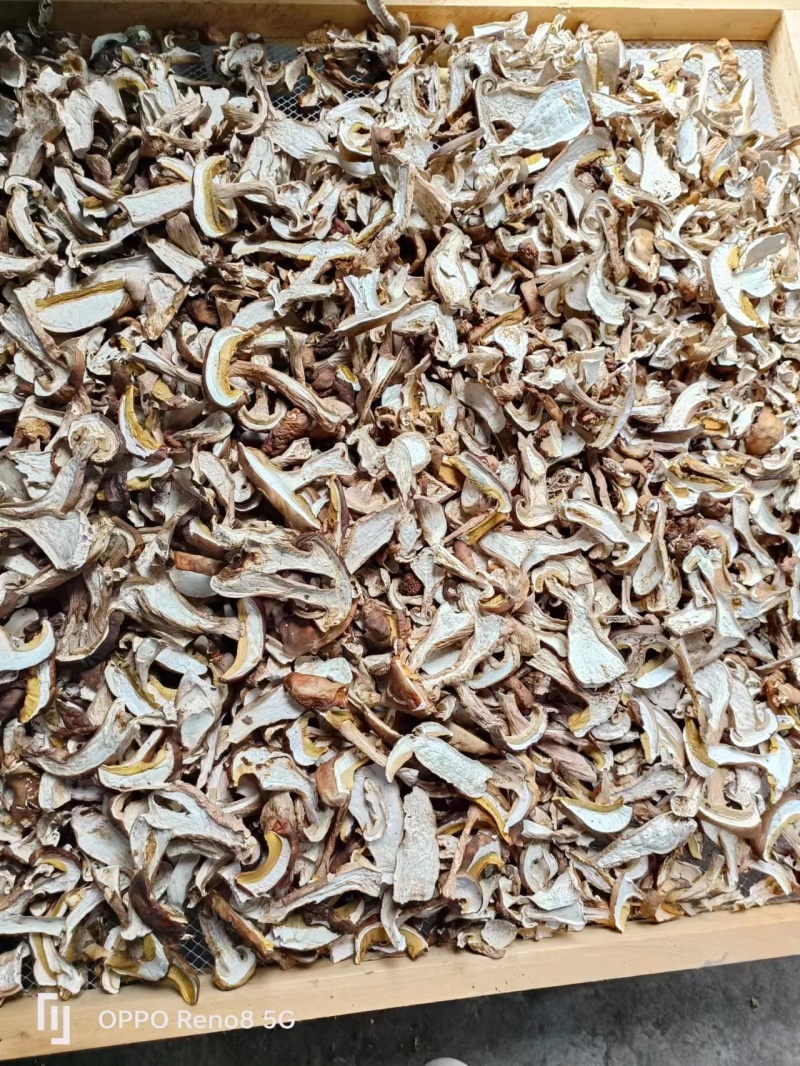 一级牛肝片食用菌干货牛肝菌-大量有货深山美味产地直发