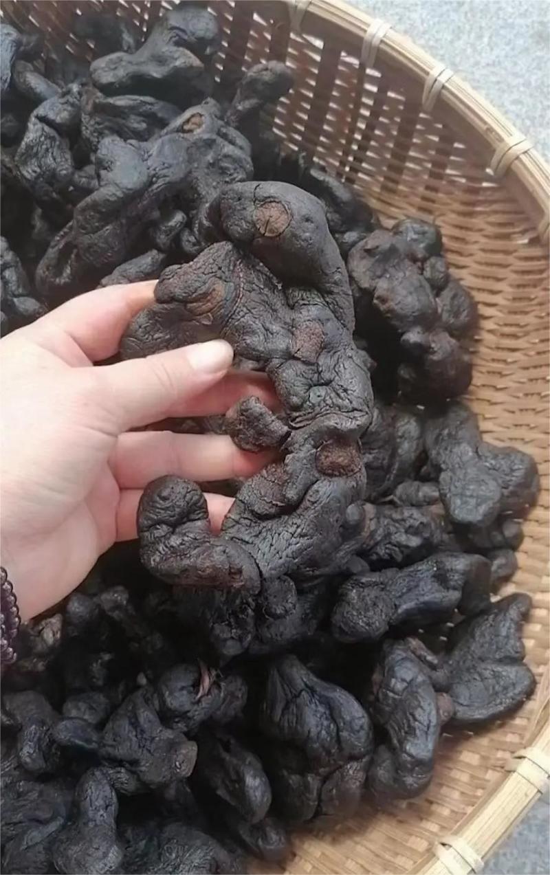 九蒸九晒野生大个黄精传统古法蒸制！！！欢迎来电咨询采购