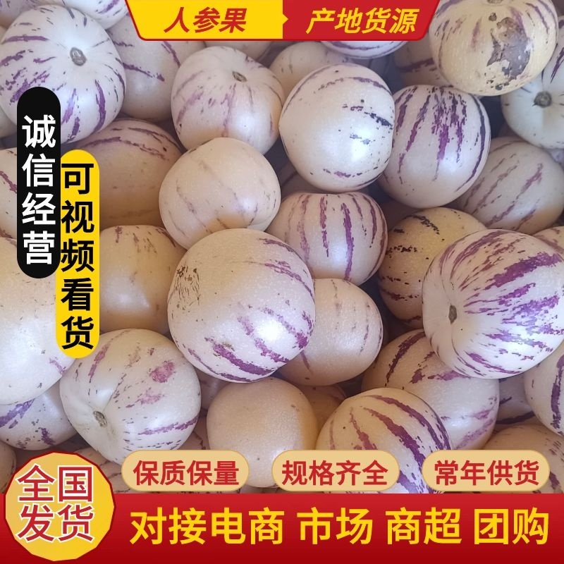 【推荐】人参果，一手货源，对接大型批发商，欢迎来电咨询