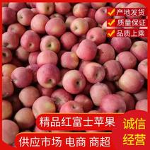 【推荐】山东精品红富士苹果产地供应保质保量全国代发