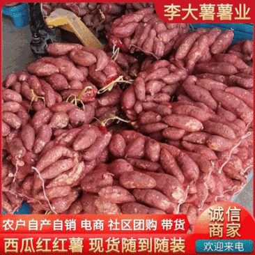 精选西瓜红红薯【电商商超社区团购】