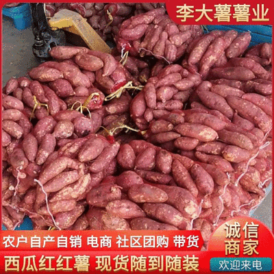 精选西瓜红红薯【电商商超社区团购】