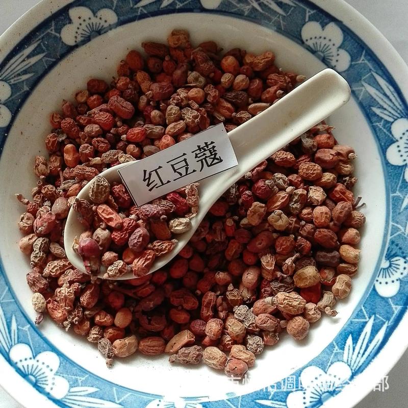 广东红豆蔻品质保证产地直发可视频看货欢迎咨询