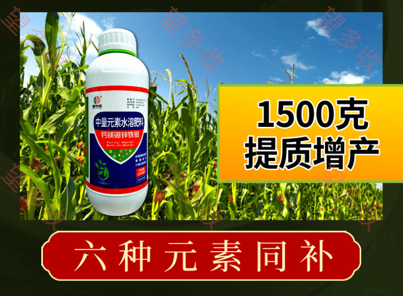 钙镁硼锌铁钼防裂防畸形果防黄叶送大瓶氨基酸水溶肥拍一送一