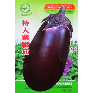 紫罐茄种子，牛心茄种子，紫黑发亮，抗病，耐运输，基地专用