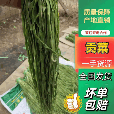 【精选】云南大理贡菜干-产地直发-量大从优-脆脆可口