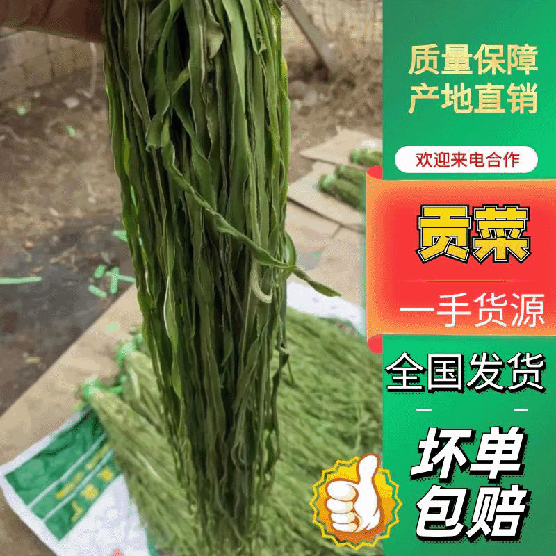 【精选】云南大理贡菜干-产地直发-量大从优-脆脆可口