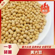 黑龙江精选正宗非转基因黄大豆现货供应