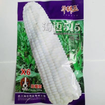 正品白甜糯玉米种子出芽率高货源充足品质保证欢迎下单订购