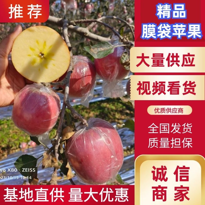 苹果山西膜袋苹果大量上市产地直发品质保障量大优惠