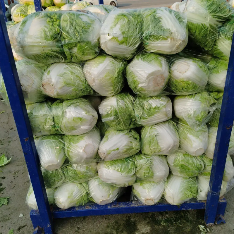 精品东京868白菜新乡小包对接电商上市量大从优
