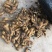 山东潍坊生姜大黄姜老姜大量现货量大从优价格优惠支持代发