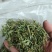 正宗优质黄山高山绿茶，大量供应，品质保证价格实惠欢迎来电