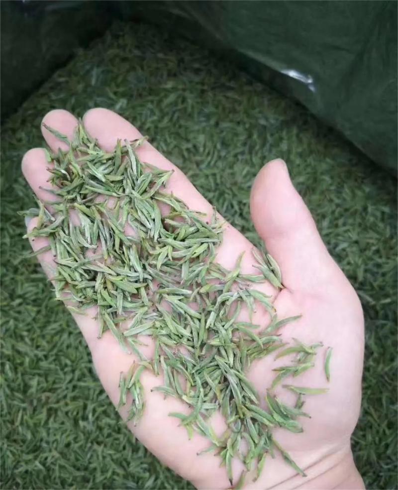 正宗优质黄山高山绿茶，大量供应，品质保证价格实惠欢迎来电