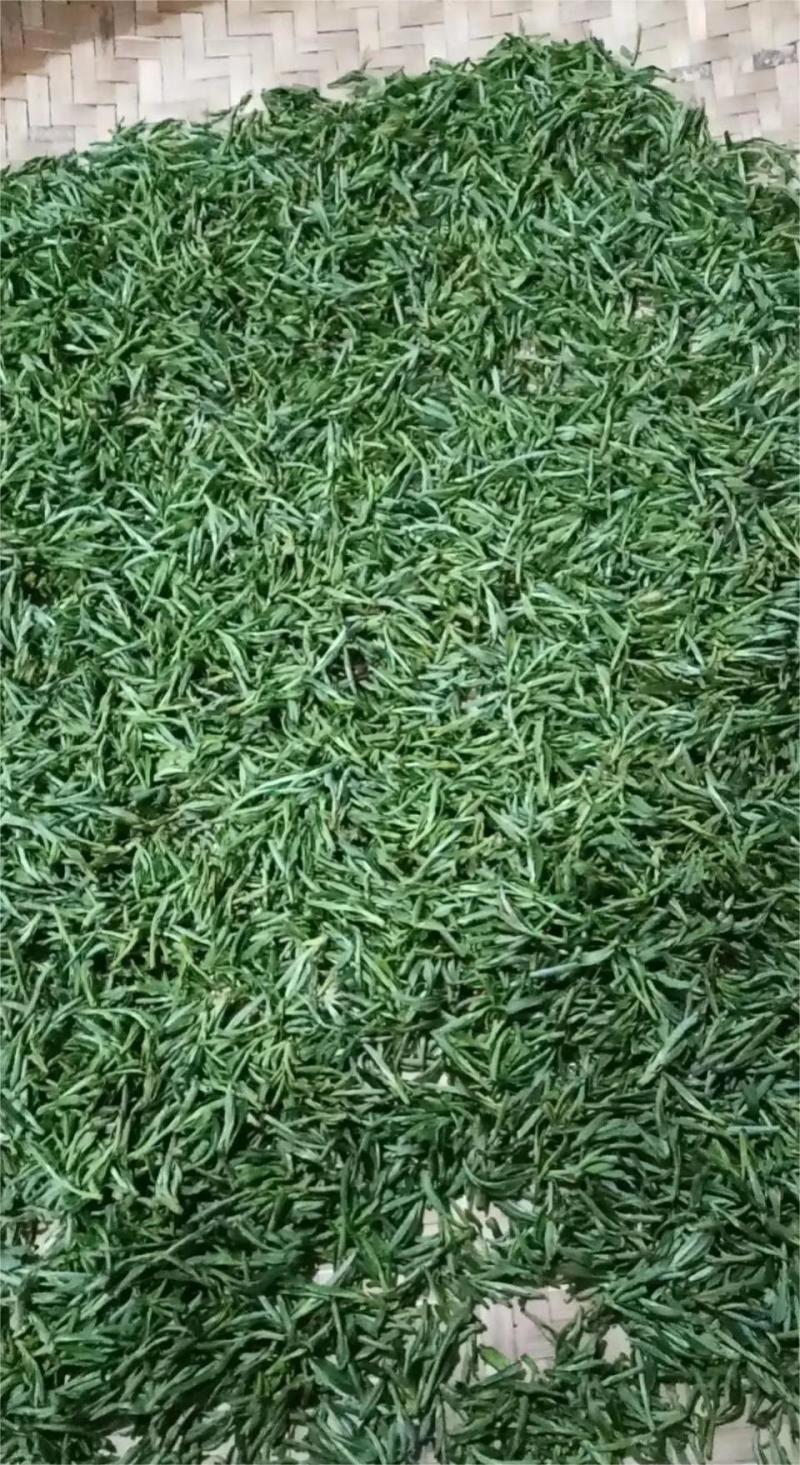 正宗优质黄山高山绿茶，大量供应，品质保证价格实惠欢迎来电