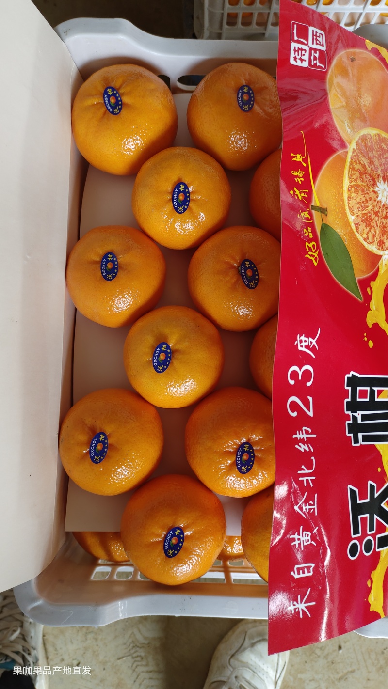 广西精品沃柑电商货皮薄水分足费用低可视频价低量大