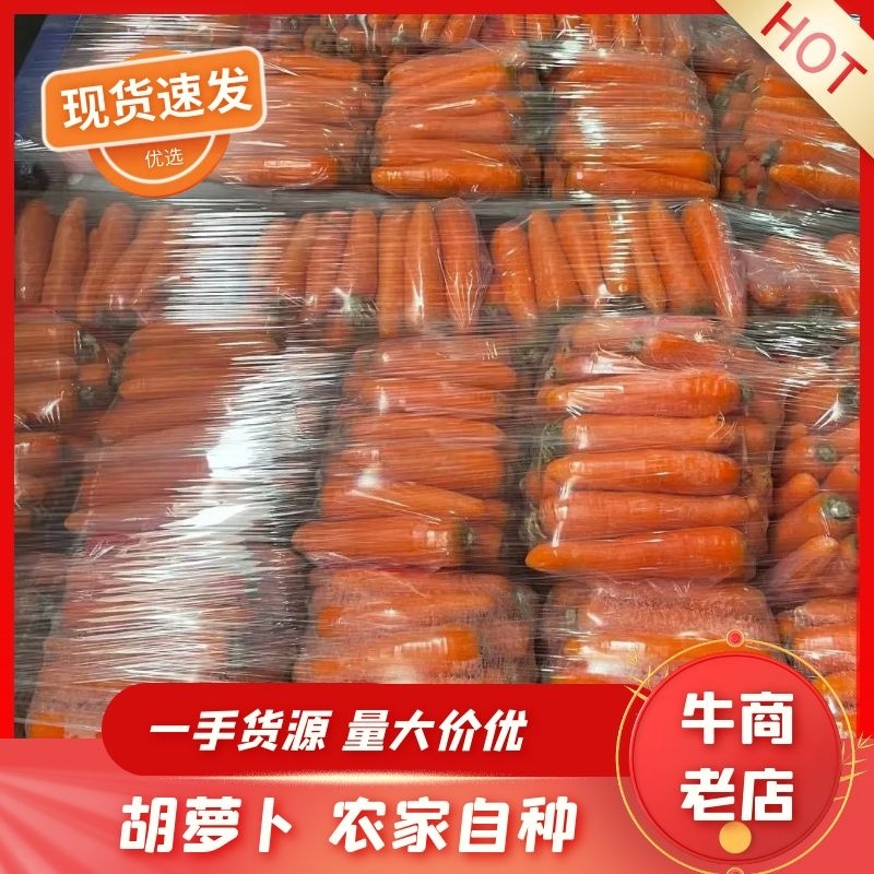 三红胡萝卜厦门胡萝卜水洗15厘米以上基地直发质量保证
