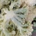 有机花菜青梗白面有机花菜大量供应产地直发