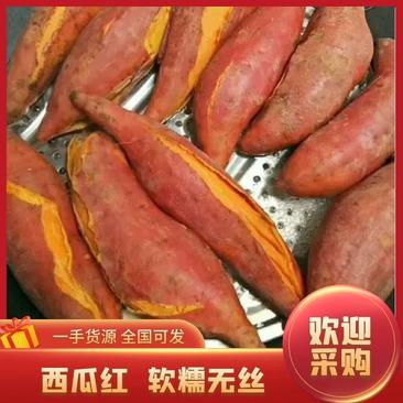 【热卖红薯】开封西瓜红红薯蜜薯产地直发货量充足可视频看货电联