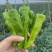 【推荐】芜湖椒、大量有货，一手货源，欢迎来电