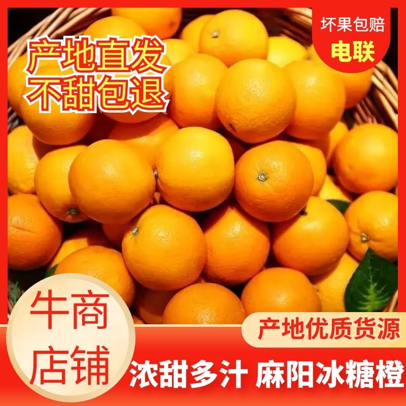 【好货推荐】麻阳冰糖橙，产地现摘现发量大从优价格电联洽谈