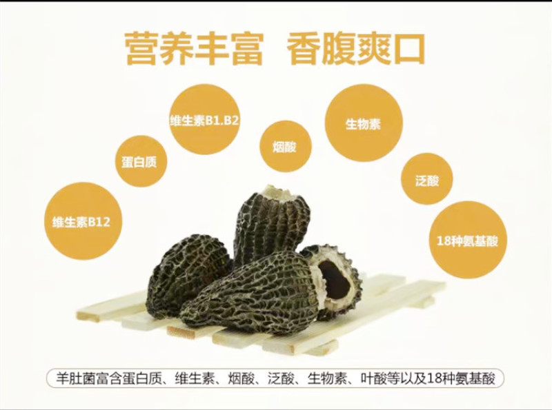 丽江高原羊肚菌，农户种植，价格实惠，供货稳定，诚信经营