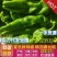 《螺丝椒》河南鲜辣椒夏邑辣椒大量上市规格齐全价格便宜