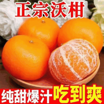 精品沃柑皮薄多汁一件代发供应电商商超货源充足欢迎下单