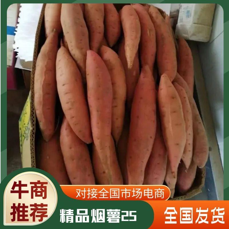 【红薯】辽宁精品烟薯基地直供，货源充足商超品质，视频看货