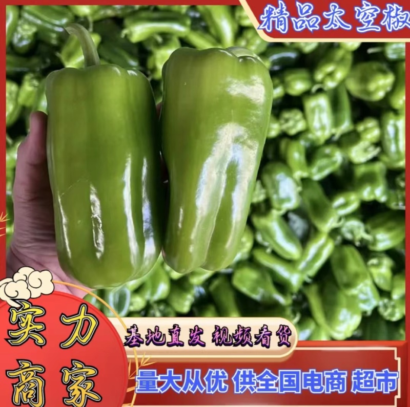 精品太空椒圆椒产地大量有货，新鲜采摘，代收代发对接批发电商