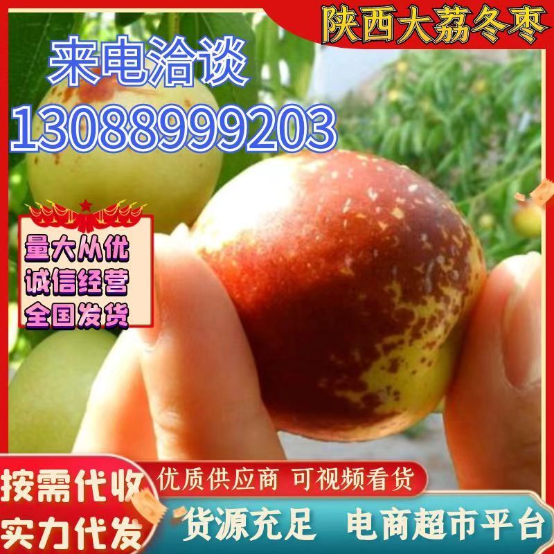 陕西冬枣大荔冬枣品质一件代发对接社区美团现货供应