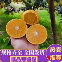 爱媛果冻橙已上市产地大量供应全国可实地考察