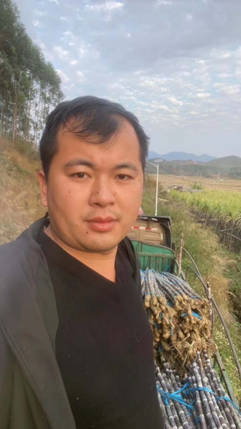 广东黄皮甘蔗大量上市中翁源县产地货源直发价格优惠欢迎采购