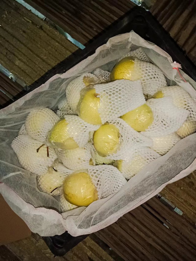 【精品】河北鸭梨脆甜多汁产地发货可远程看货可供商超