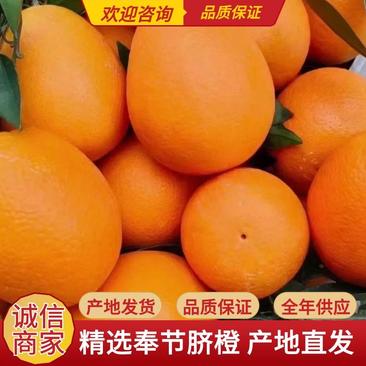 【精选】重庆奉节县脐橙精选大果大量供应果园直采